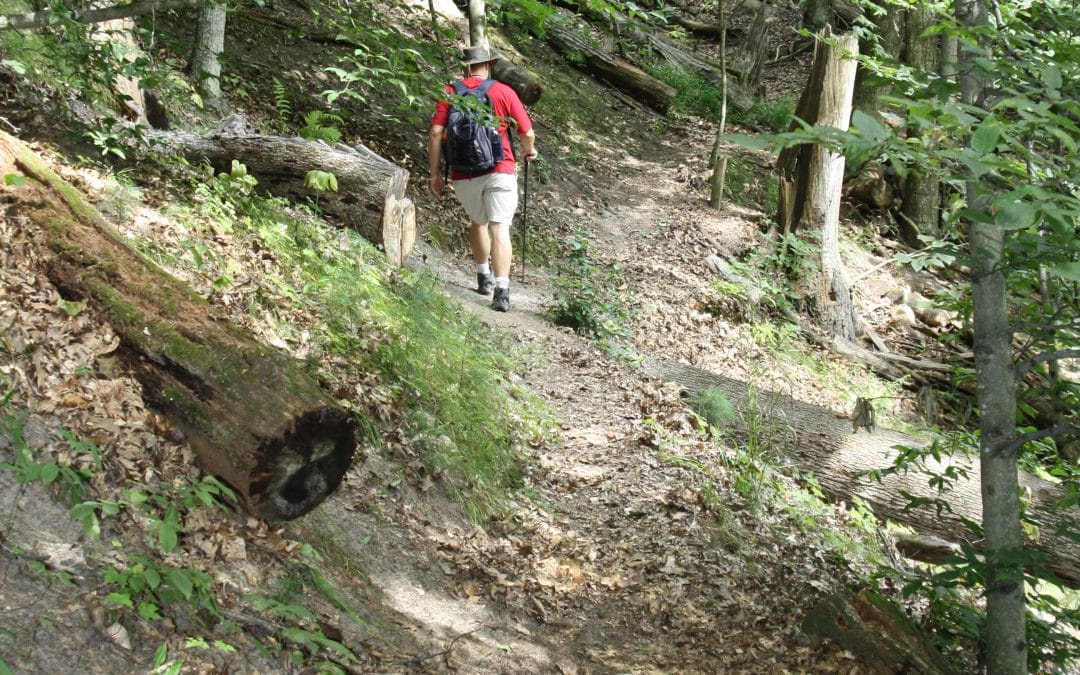 Exploring the Rustic Trail