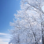 Early Winter Getaway