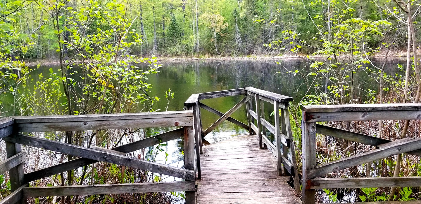 The Wetland Trail A Unique Ecosystem Newaygo County Exploring